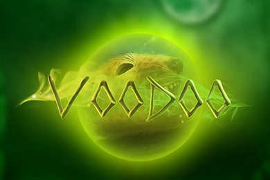 Voodoo автомат Вулкан Казино